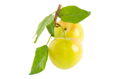 Sarı kiraz erikleri, şeffaf arkaplanda izole edilmiş, PNG