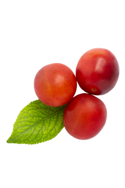 Yapraklı üç kiraz eriği, şeffaf arka planda izole edilmiş, PNG