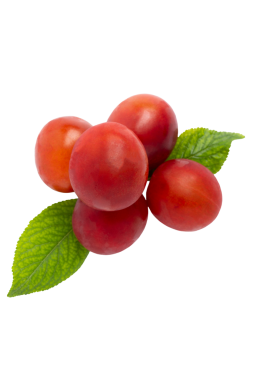 Yapraklı kırmızı kiraz erikleri, şeffaf arkaplanda izole edilmiş, PNG