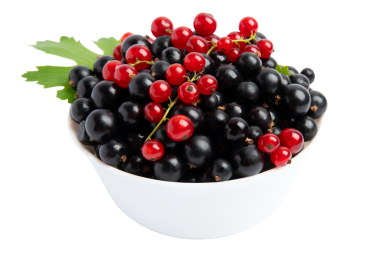 Siyah ve kırmızı üzümler beyaz kasenin önünde, şeffaf arka planda izole edilmiş, PNG