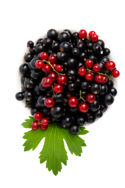 Kabın üst görünümünde siyah ve kırmızı üzümlü, şeffaf arkaplanda izole edilmiş, PNG