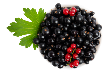 Siyah ve kırmızı üzümlü kase üst görünümde, şeffaf arkaplanda izole edilmiş, PNG