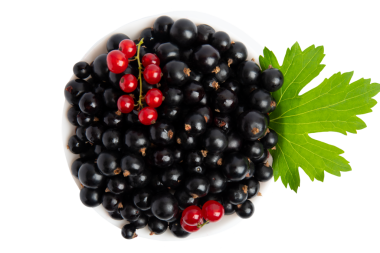 Siyah ve kırmızı üzümlü kase üst görünümde, şeffaf arkaplanda izole edilmiş, PNG