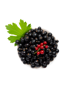 Kabın üst görünümünde siyah ve kırmızı üzümlü, şeffaf arkaplanda izole edilmiş, PNG