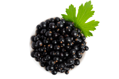 Kabın üst görünümünde siyah frenk üzümü, şeffaf arkaplanda izole edilmiş, PNG