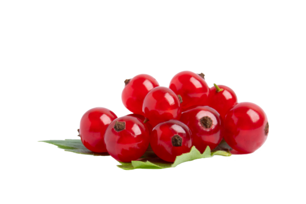 Yapraklı kırmızı frenk üzümü kümesi, şeffaf arkaplanda izole edilmiş, PNG