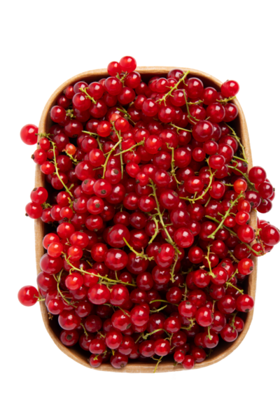 Basket Üst Görünümündeki kırmızı üzümler, şeffaf arkaplanda izole edilmiş, PNG