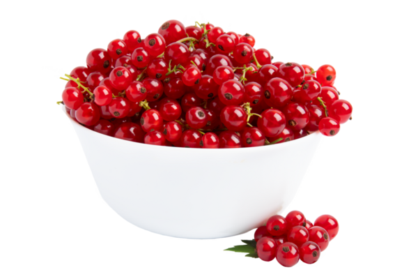 Beyaz Bowl 'da kırmızı frenk üzümü, şeffaf arkaplanda izole edilmiş, PNG