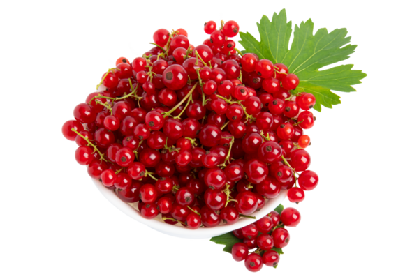 Beyaz Bowl 'da kırmızı frenk üzümü, şeffaf arkaplanda izole edilmiş, PNG