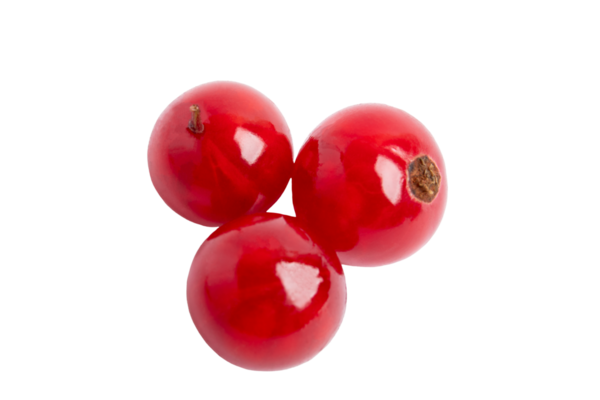 Üç kırmızı frenk üzümü, şeffaf arkaplanda izole edilmiş, PNG