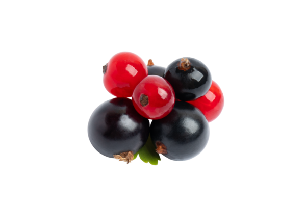 Kırmızı ve Kara Akıntı, şeffaf arkaplanda izole edilmiş, PNG