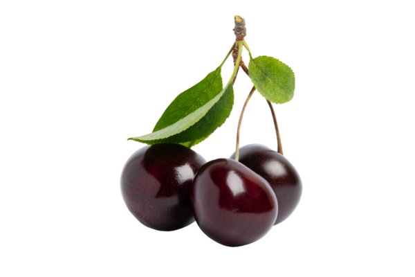 Yeşil yapraklı üç koyu kiraz, şeffaf arkaplanda izole edilmiş, PNG