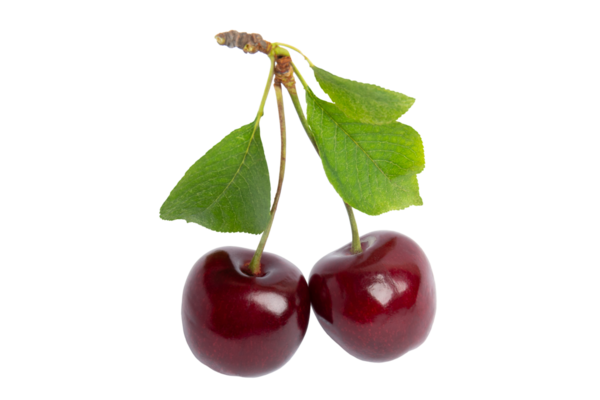 Yeşil yapraklı iki olgun kiraz, şeffaf arka planda izole edilmiş, PNG