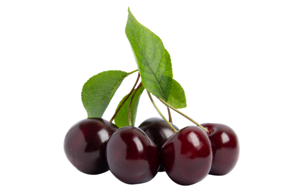 Yeşil yapraklı koyu kirazlar, şeffaf arkaplanda izole edilmiş, PNG