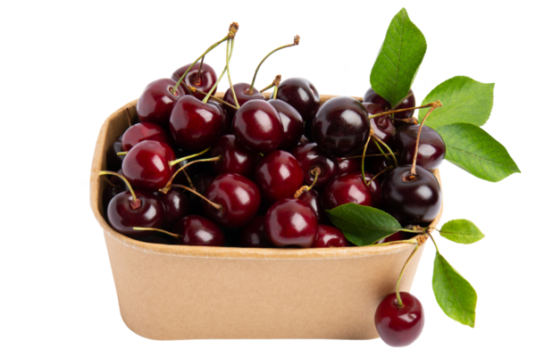 Karton sepetteki taze kirazlar, şeffaf arkaplanda izole edilmiş, PNG