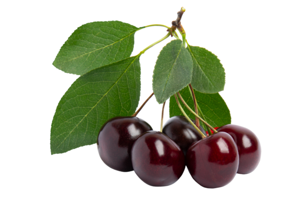 Yapraklı Koyu Kirazlar, şeffaf arkaplanda izole edilmiş, PNG