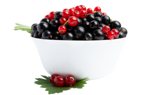 Siyah ve kırmızı üzümler beyaz kasenin önünde, şeffaf arka planda izole edilmiş, PNG