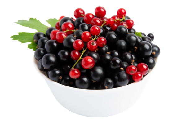 Siyah ve kırmızı üzümler beyaz kasenin önünde, şeffaf arka planda izole edilmiş, PNG