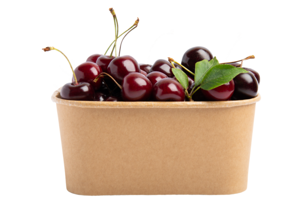 Kraft kağıt bardak ön görünüm koyu kiraz, şeffaf arkaplan izole, PNG