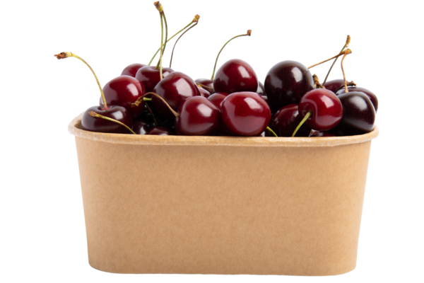 Kahverengi Kağıt Kupa Ön Görünümlü, şeffaf arkaplanda izole edilmiş, PNG