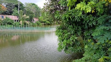 Parkın güzel manzarası