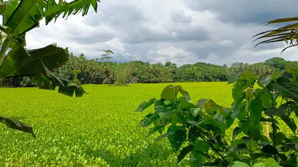Mavi gökyüzü ile yeşil alan
