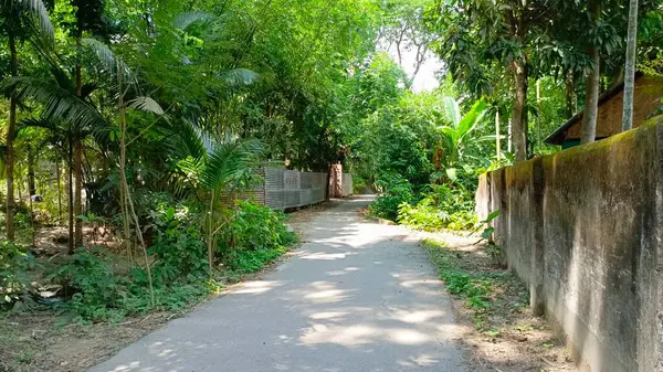 Yeşil ağaçları ve bitkileri olan güzel bir tropikal bahçe.