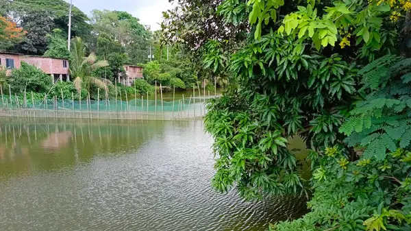 Parkın güzel manzarası