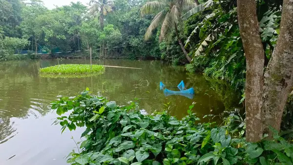 Parkın güzel manzarası
