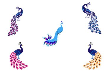 Renkli tavus kuşu vektör seti, canlı tüyleri ve karmaşık tüy desenleriyle tanınan görkemli tavus kuşunun yer aldığı dijital illüstrasyonlardan oluşan bir koleksiyondur.. 