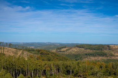 Orman tepeleri ve rüzgâr türbinleri olan bir manzara.