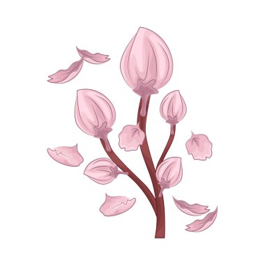 Kiraz çiçekleri baharın gelişini simgeleyen güzel ve narin çiçeklerdir. Pembe yapraklarıyla, tam çiçeklenme anında nefes kesici ve huzurlu bir atmosfer yaratırlar..