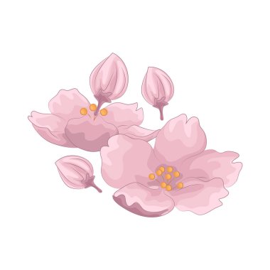 Kiraz çiçekleri baharın gelişini simgeleyen güzel ve narin çiçeklerdir. Pembe yapraklarıyla, tam çiçeklenme anında nefes kesici ve huzurlu bir atmosfer yaratırlar..