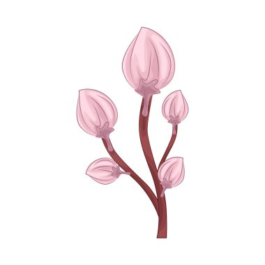 Kiraz çiçekleri baharın gelişini simgeleyen güzel ve narin çiçeklerdir. Pembe yapraklarıyla, tam çiçeklenme anında nefes kesici ve huzurlu bir atmosfer yaratırlar..