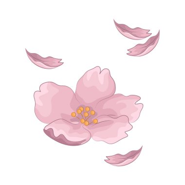 Kiraz çiçekleri baharın gelişini simgeleyen güzel ve narin çiçeklerdir. Pembe yapraklarıyla, tam çiçeklenme anında nefes kesici ve huzurlu bir atmosfer yaratırlar..