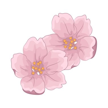 Kiraz çiçekleri baharın gelişini simgeleyen güzel ve narin çiçeklerdir. Pembe yapraklarıyla, tam çiçeklenme anında nefes kesici ve huzurlu bir atmosfer yaratırlar..