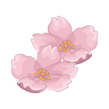 Kiraz çiçekleri baharın gelişini simgeleyen güzel ve narin çiçeklerdir. Pembe yapraklarıyla, tam çiçeklenme anında nefes kesici ve huzurlu bir atmosfer yaratırlar..