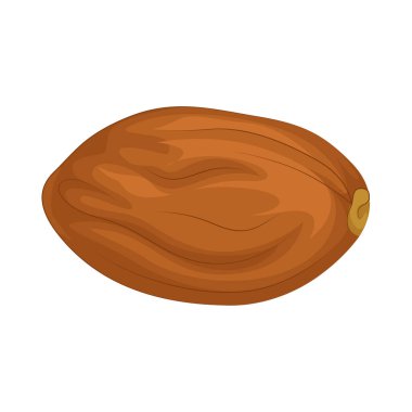 Altın kahverengi hurmalar yumuşak dokuları ve doğal tatlılıklarıyla bilinen lezzetli ve besleyici meyvelerdir. Koyu altın rengi ve hafif parlak cildiyle, bu tarihler sadece görsel olarak çekici değil, aynı zamanda besin maddeleriyle de doludur..