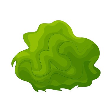 Parlak renkleriyle yeşil çalı bahçeler, parklar ve çimenler için huzurlu bir atmosfer yaratır..