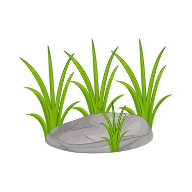 Parlak renkleriyle yeşil çimenler bahçeler, parklar ve çimenler için huzurlu bir atmosfer yaratır. Sağlıklı yeşil otlar sadece manzarayı güzelleştirmekle kalmaz, aynı zamanda çevreyi de serinletir..