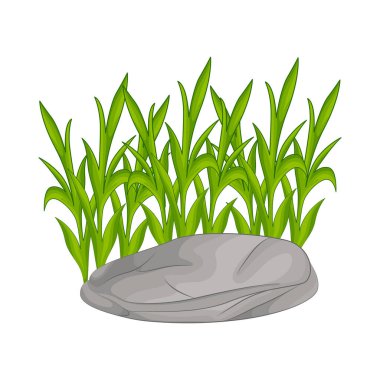 Parlak renkleriyle yeşil çimenler bahçeler, parklar ve çimenler için huzurlu bir atmosfer yaratır. Sağlıklı yeşil otlar sadece manzarayı güzelleştirmekle kalmaz, aynı zamanda çevreyi de serinletir..