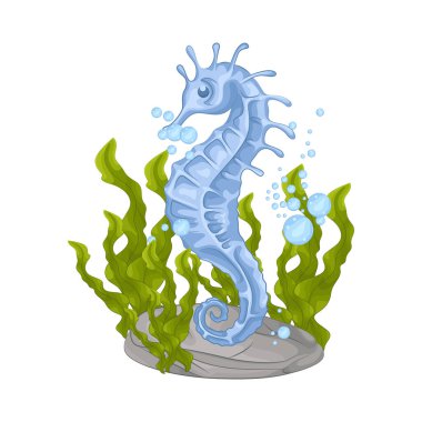 Küçük, kıvrık kuyrukları ve at şeklinde kafaları olan denizatları. Bu sevimli deniz canlıları büyük gözleri ve eşsiz burunlarıyla zarifçe yüzerler. Deniz atları büyüleyici bir görünüme sahiptirler..