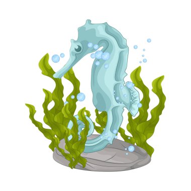 Küçük, kıvrık kuyrukları ve at şeklinde kafaları olan denizatları. Bu sevimli deniz canlıları büyük gözleri ve eşsiz burunlarıyla zarifçe yüzerler. Deniz atları büyüleyici bir görünüme sahiptirler..