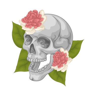 İnsan kafatasında çarpıcı ve keskin çeneli bir çiçek. Çene kemiği ya da çene kemiği, belirgin ve sıkıdır, çene kenarı boyunca açıkça görünen dişler ile kafatasına şiddetli bir görünüm verir.