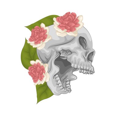 İnsan kafatasında çarpıcı ve keskin çeneli bir çiçek. Çene kemiği ya da çene kemiği, belirgin ve sıkıdır, çene kenarı boyunca açıkça görünen dişler ile kafatasına şiddetli bir görünüm verir.