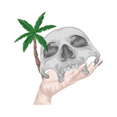 Çarpıcı ve keskin çeneli bir insan kafatasında palmiye ağacı. Çene kemiği ya da çene kemiği, belirgin ve sıkıdır, çene kenarı boyunca açıkça görünen dişler ile kafatasına şiddetli bir görünüm verir.