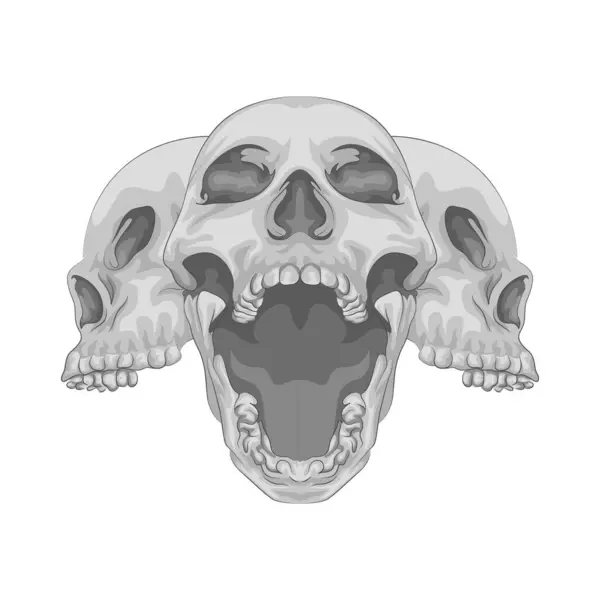 Çarpıcı ve keskin çeneli bir insan kafatası. Çene kemiği ya da çene kemiği, belirgin ve sıkıdır, çene kenarı boyunca açıkça görünen dişler ile kafatasına şiddetli bir görünüm verir.