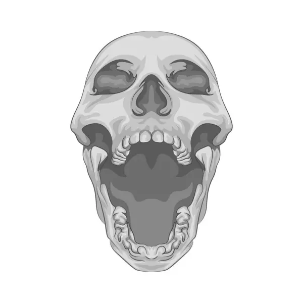 Çarpıcı ve keskin çeneli bir insan kafatası. Çene kemiği ya da çene kemiği, belirgin ve sıkıdır, çene kenarı boyunca açıkça görünen dişler ile kafatasına şiddetli bir görünüm verir.