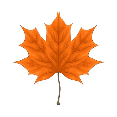 Yapraklar taze ve canlı görünüyor, parlak renkli yapraklarla. Yüzey biraz parlak, ışığı yansıtıyor ve saf ve canlı bir izlenim veriyor..