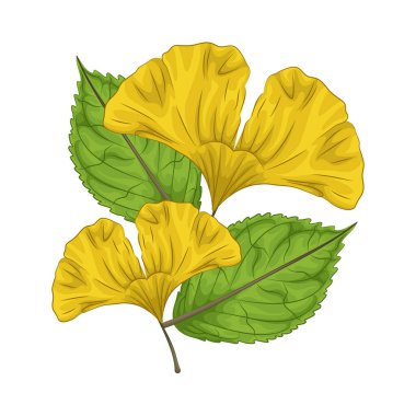 Yapraklar taze ve canlı görünüyor, parlak renkli yapraklarla. Yüzey biraz parlak, ışığı yansıtıyor ve saf ve canlı bir izlenim veriyor..